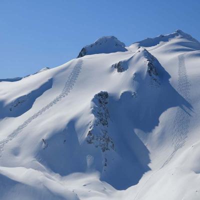 the-heli-skiiing-experience-11.jpg